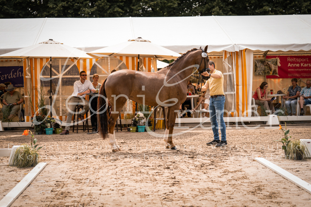 4.Fr00049 | Leoni Ertmer Photography - Realisiert mit Pictrs.com