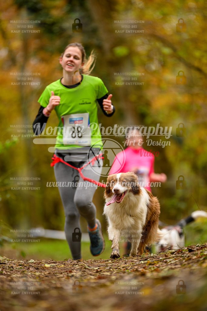 MompixPhotography_Bischwiller24_SA_Canicross-164 | PayLife