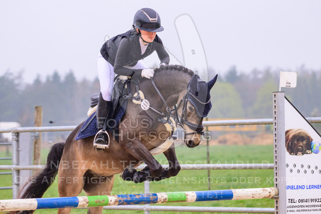 10042026-Mammendorf-Prfg14-0265 | Fokus Hufschlag Fotografie - Realisiert mit Pictrs.com