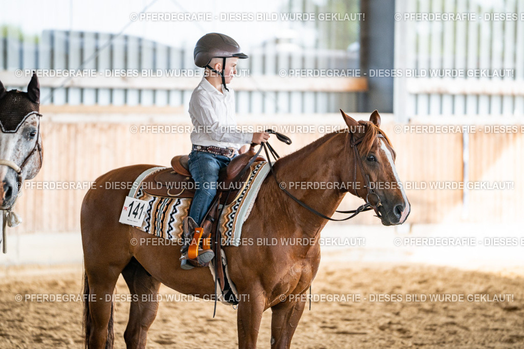 DSC08704 | Pferdegrafie