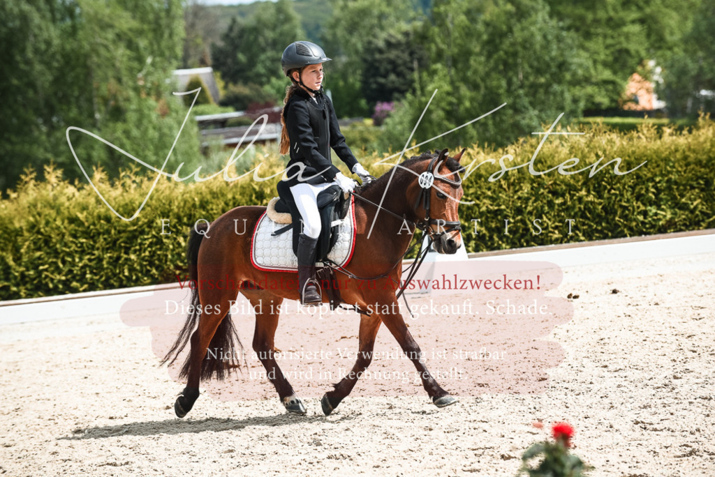 20230518_JK-Röhrsdorf-11-0755 | Pferde- und Turnierfotografie in Westsachsen. Pferdeportraits, Auftragszeichnungen und intuitive Kunst.