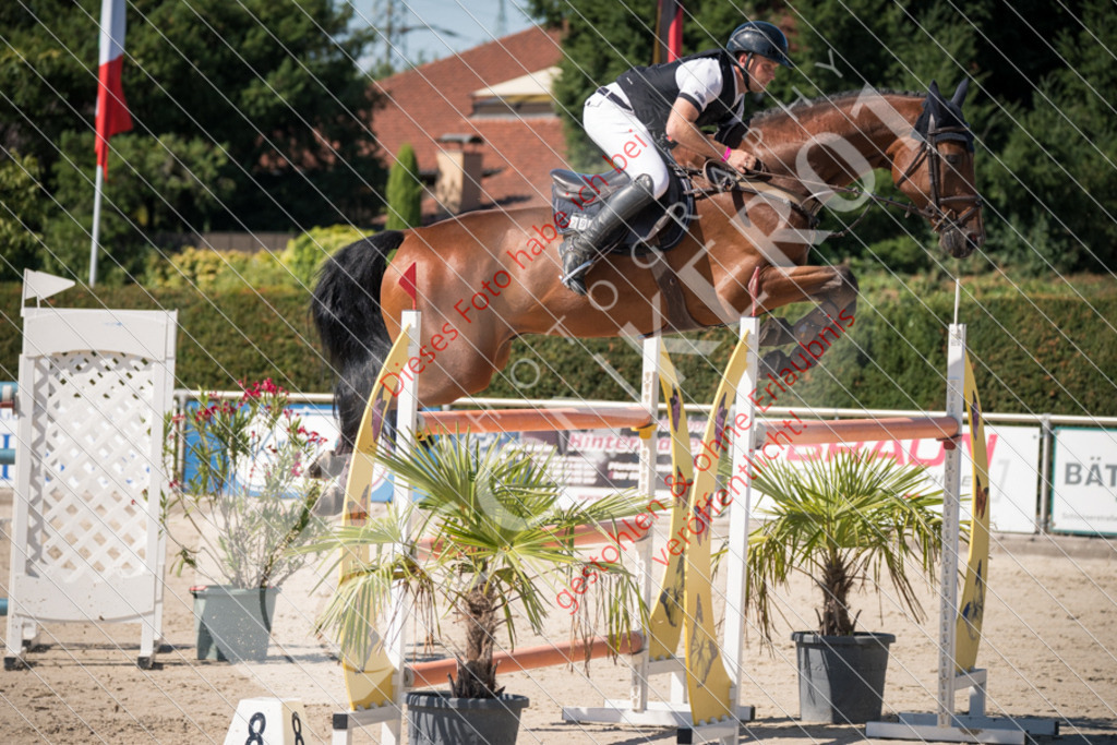DSC_3364 | Sport-, Event- und Tierfotos in Profiqualität. Einfach auswählen, bestellen und herunterladen. Dein Moment – perfekt festgehalten.