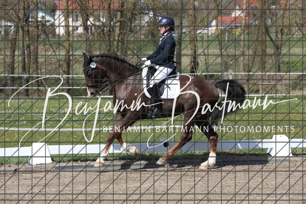 AZ2A5598 | Benjamin Bartmann Photomoments