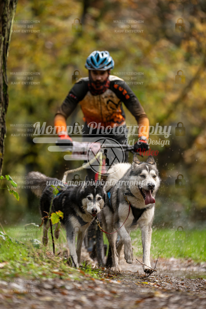 MompixPhotography_Bischwiller23_DS2-11 | mompixphotography