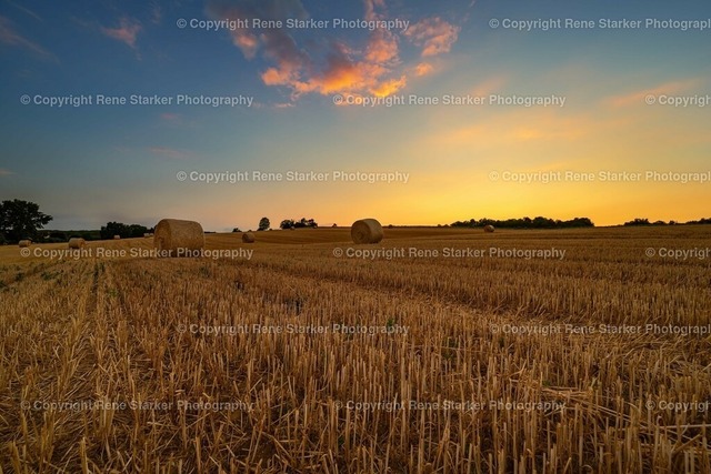 NZ7_1040 | Hochzeiten, Familien, Paare, Portraits, Kinder, Shooting, Bad-Neuenahr, Ahrweiler, Bonn, Meckenheim, Fotograf, Grafschaft - Realisiert mit Pictrs.com
