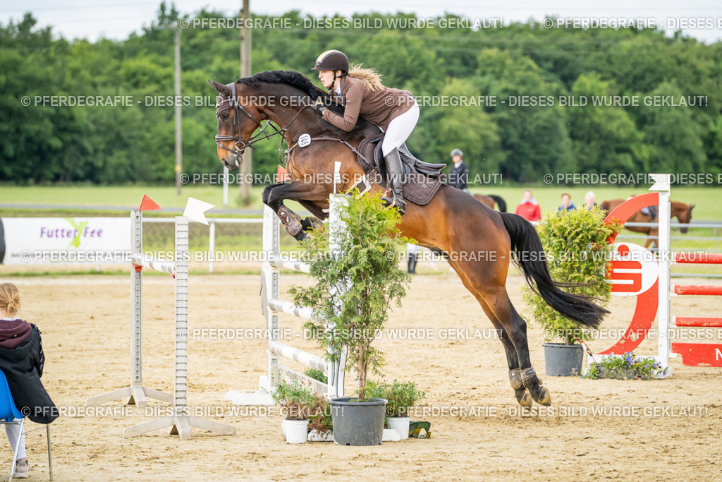 DSC06638 | Pferdegrafie