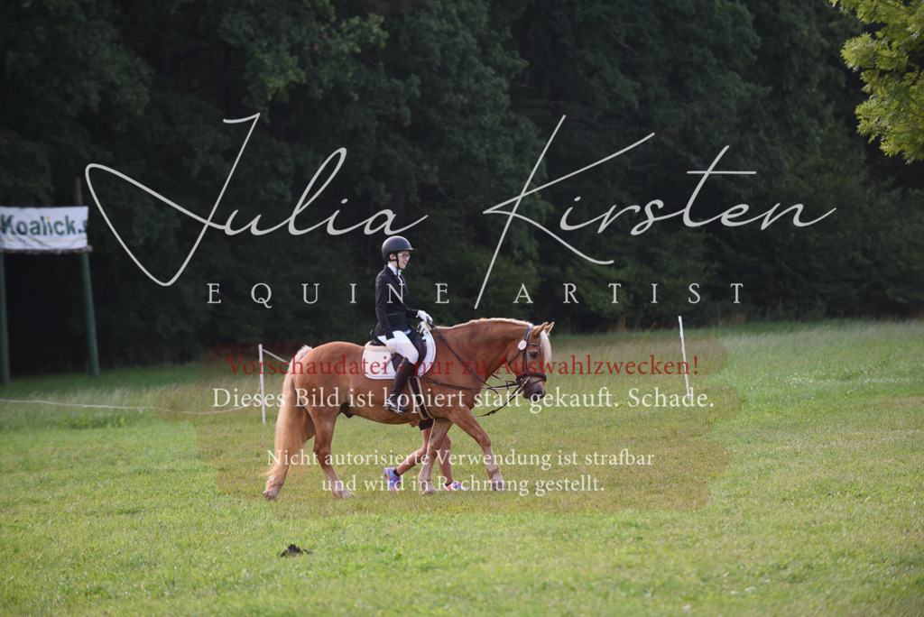 DSC_8578 | Pferde- und Turnierfotografie in Westsachsen. Pferdeportraits, Auftragszeichnungen und intuitive Kunst.