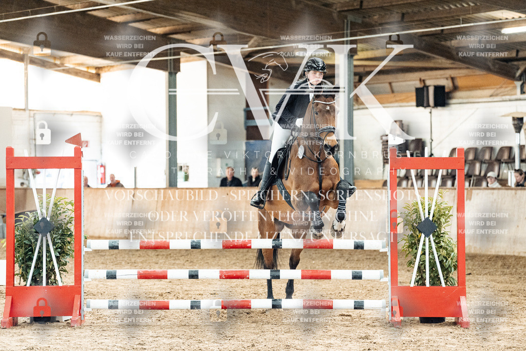 CK904794 | Turnierfotografie Pferdefotografie Trier Rheinland-Pfalz Pferdesport Reitsport Tierfotografie Sportfotografie Pferdevideo Pferdevideografie Equestrianvideography equestrianphotography  - Realized with Pictrs.com
