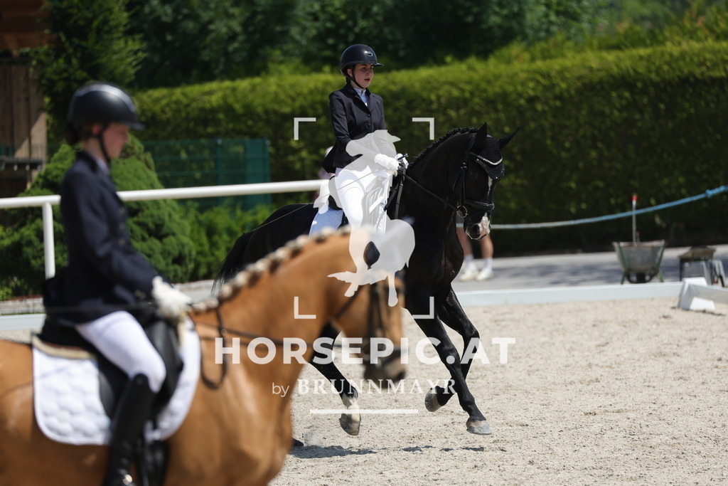 0P6A2262 | Willkommen bei Brunnmayr - Design & Fotografie – Ihrem Spezialisten für Reitturniere und Pferdeveranstaltungen in Oberösterreich, Salzburg und Bayern! Seit über 17 Jahren sind wir leidenschaftlich dabei.