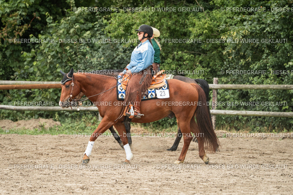 DSC03116 | Pferdegrafie