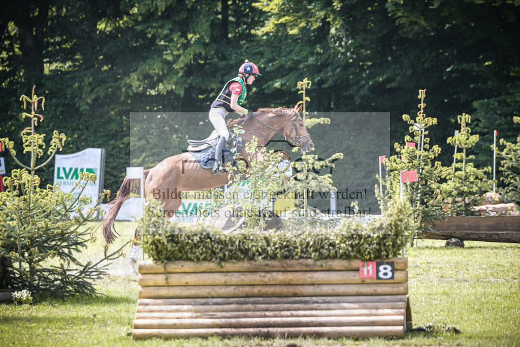 DOS_0201 | Entdecke hochwertige Reitturnierfotos von Foto Oger. Professionell, emotional und authentisch – jetzt Lieblingsmomente im Shop bestellen.Deutschlandweite Turnierfotografie. - Realisiert mit Pictrs.com