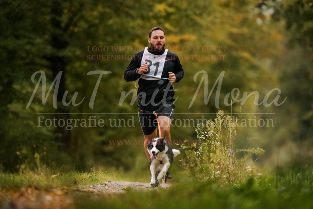 20251005_THS_Turnier-22 | MuT (Mensch und Tier) mit Mona - Fotografie und Tierkommunikation - Realisiert mit Pictrs.com