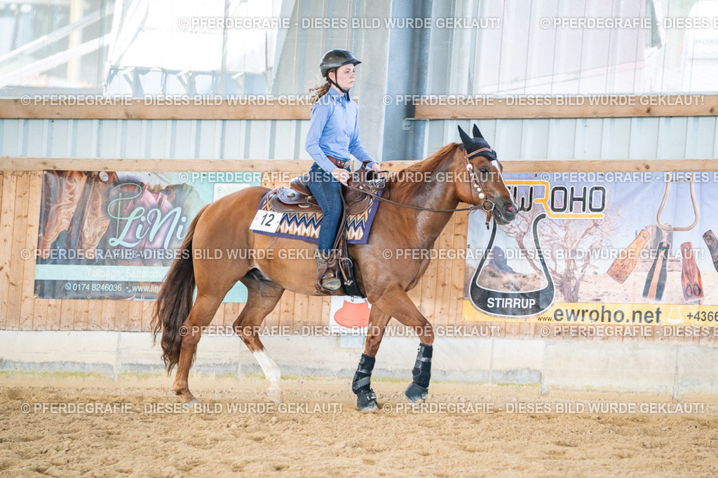 DSC03714 | Pferdegrafie