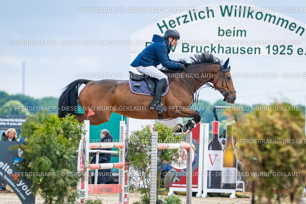 DSC05273 | Pferdegrafie