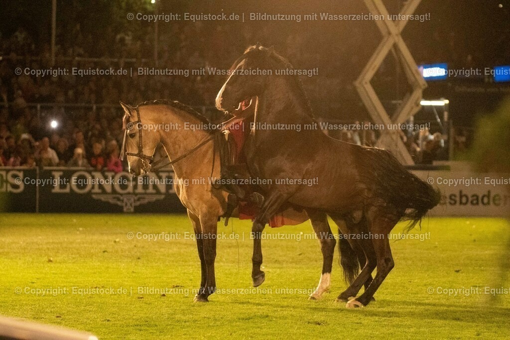 20230526_Pferdenacht_1445 | equistock
