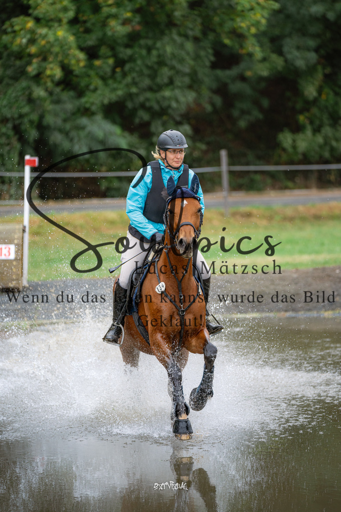 A7V00266 | Pferdefotograf