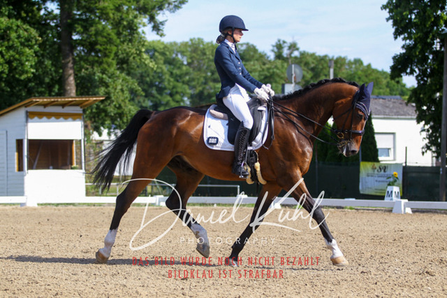 DKP41190 | Turniersportfotografie; Pferdefotografie; Dressurfotografie