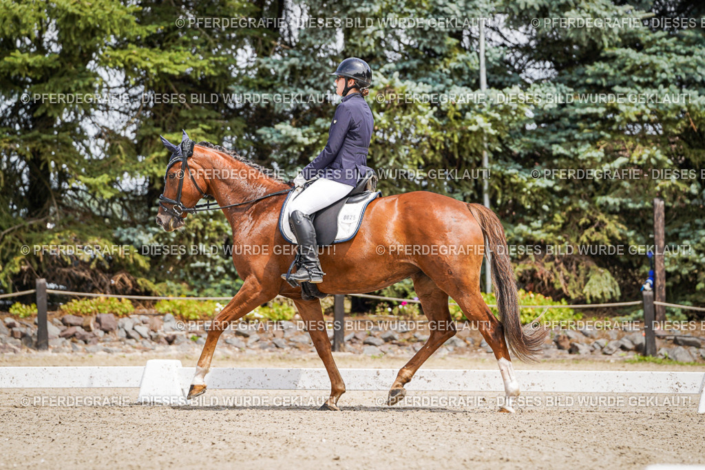 DSC01961 | Pferdegrafie