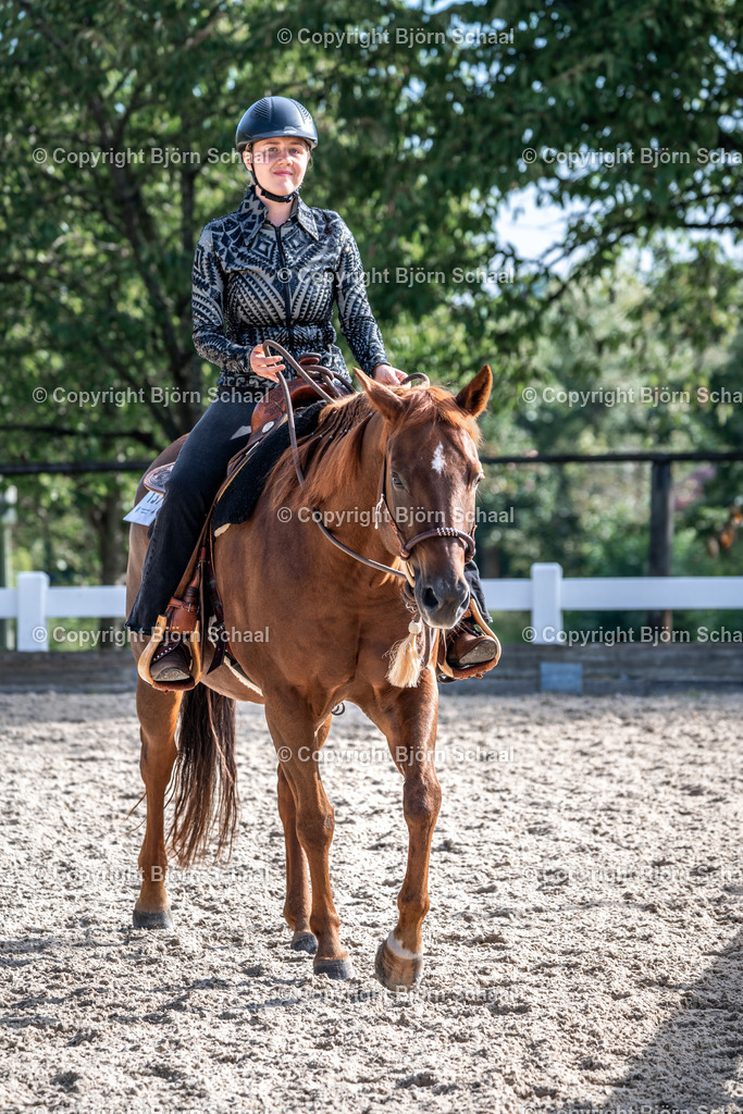 HOB08252 | BS-foto