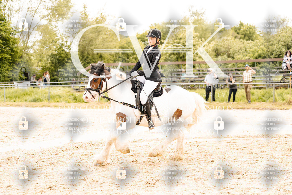 CK904327 | Turnierfotografie Pferdefotografie Trier Rheinland-Pfalz Pferdesport Reitsport Tierfotografie Sportfotografie Pferdevideo Pferdevideografie Equestrianvideography equestrianphotography  - Realisiert mit Pictrs.com