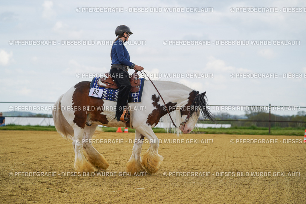 DSC05950 | Pferdegrafie