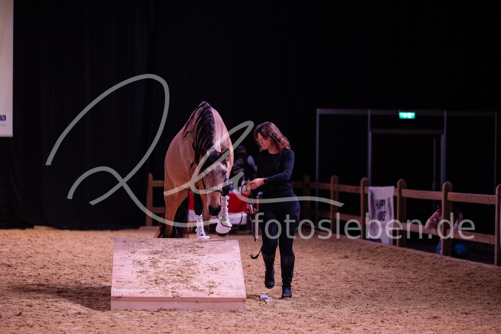 846A6921 | fotosleben - Realized with Pictrs.com