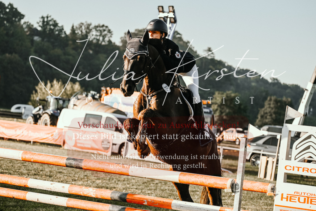 DSC_3820 | Pferde- und Turnierfotografie in Westsachsen. Pferdeportraits, Auftragszeichnungen und intuitive Kunst.