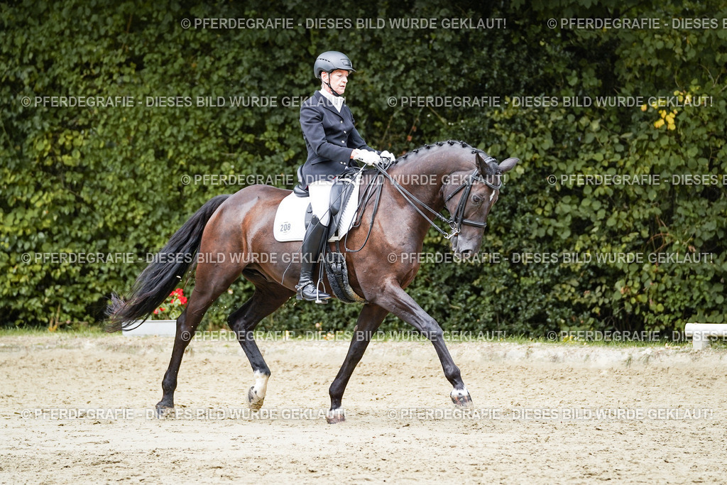 DSC05857 | Pferdegrafie