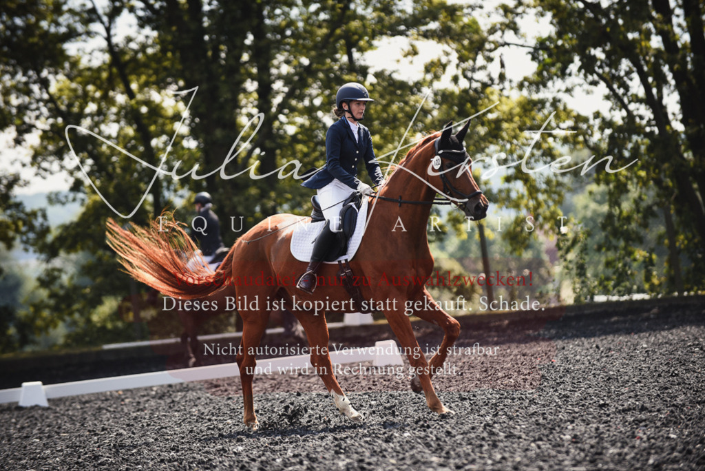 DSC_4123 | Pferde- und Turnierfotografie in Westsachsen. Pferdeportraits, Auftragszeichnungen und intuitive Kunst.
