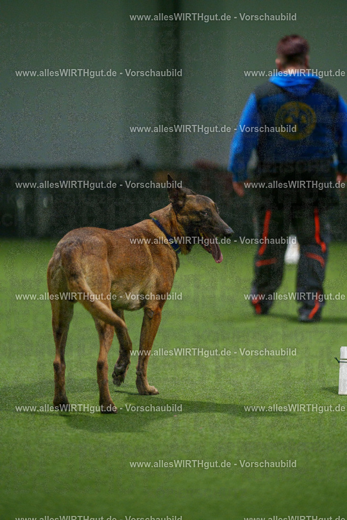 7R507451 | Professionelle Tierfotografie in Mönchengladbach von Daniel Wirth (allesWIRTHgut). Liebevolle & natürliche Bilder von Hunden & Katzen für unvergessliche Erinnerungen.