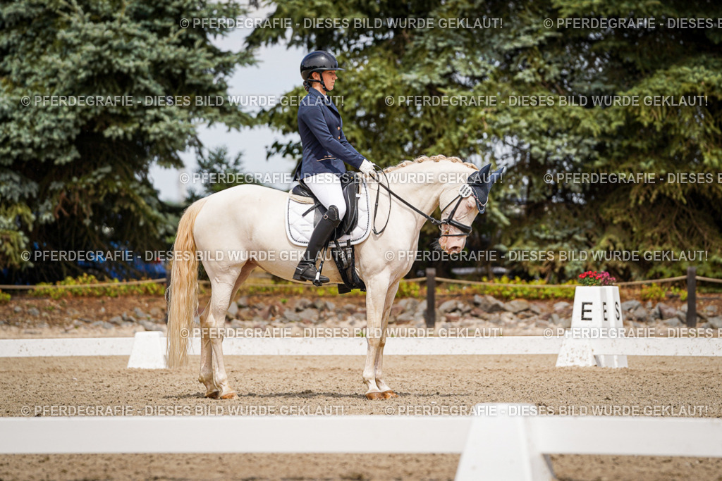 DSC04448 | Pferdegrafie