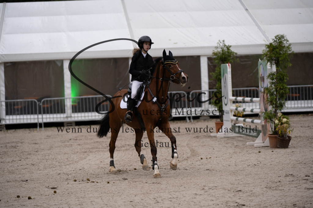 A7V09946 | Turnier/Reitfotograf