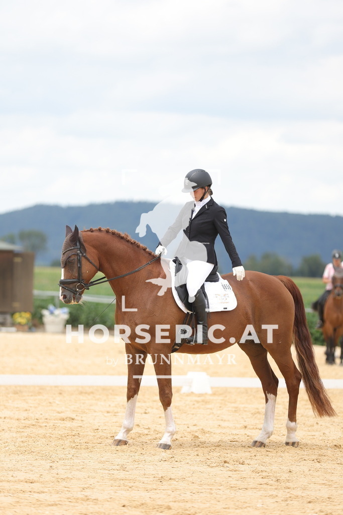 0P6A2002 | Willkommen bei Brunnmayr - Design & Fotografie – Ihrem Spezialisten für Reitturniere und Pferdeveranstaltungen in Oberösterreich, Salzburg und Bayern! Seit über 17 Jahren sind wir leidenschaftlich dabei.