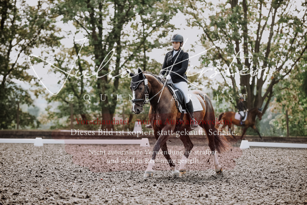 DSC_3638 | Pferde- und Turnierfotografie in Westsachsen. Pferdeportraits, Auftragszeichnungen und intuitive Kunst.