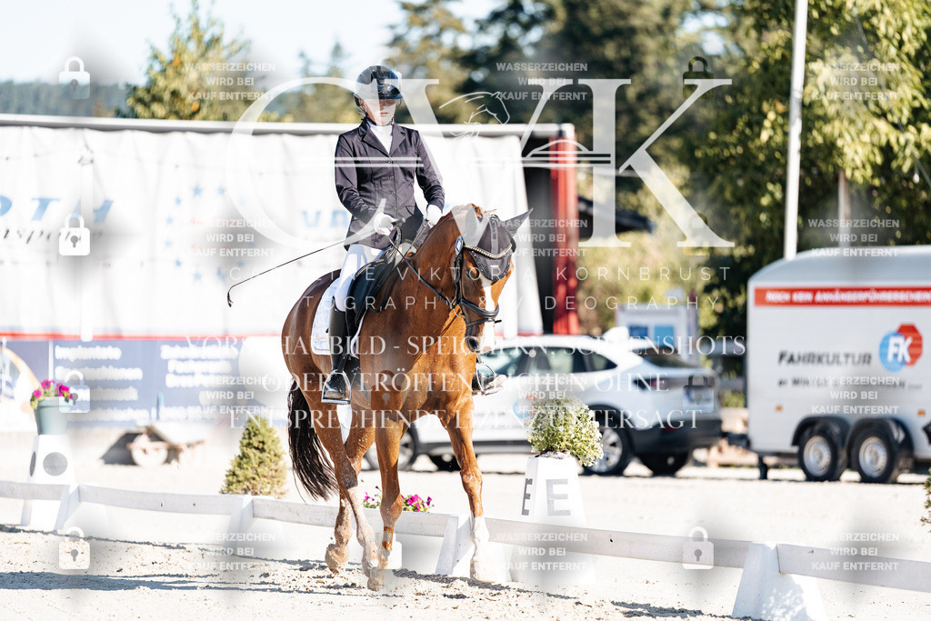 CK907261 | Turnierfotografie Pferdefotografie Trier Rheinland-Pfalz Pferdesport Reitsport Tierfotografie Sportfotografie Pferdevideo Pferdevideografie Equestrianvideography equestrianphotography  - Realisiert mit Pictrs.com
