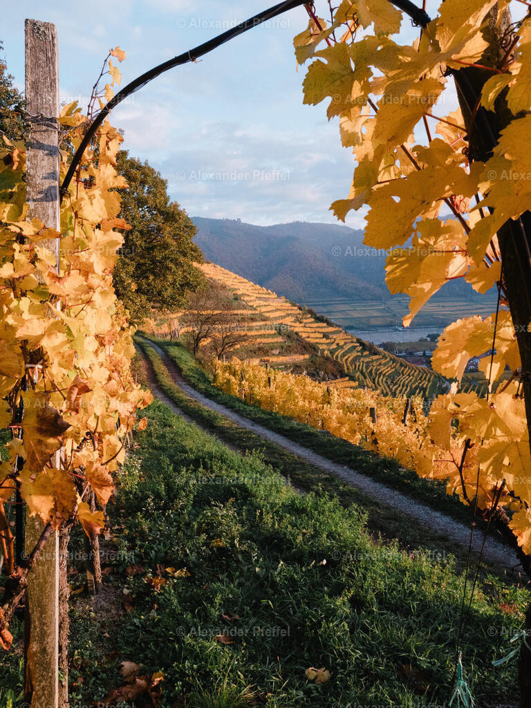 foto_c_pfeffel-partner-0218-P1011913-HDR | alexander-pfeffel - Realisiert mit Pictrs.com