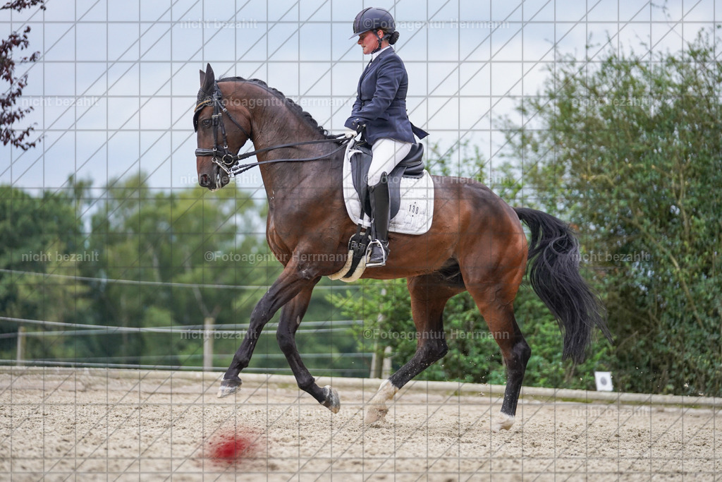 20230826-FAH06269 | Forstinning, 2023, Dressurturnier, Turniersportbilder, Turnierfotografen Bayern, Fotoagentur Herrmann, Reitsportfotografie, Turnierbilder