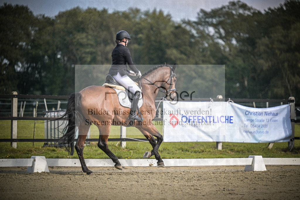 DOS_B699 | Entdecke hochwertige Reitturnierfotos von Foto Oger. Professionell, emotional und authentisch – jetzt Lieblingsmomente im Shop bestellen.Deutschlandweite Turnierfotografie. - Realisiert mit Pictrs.com
