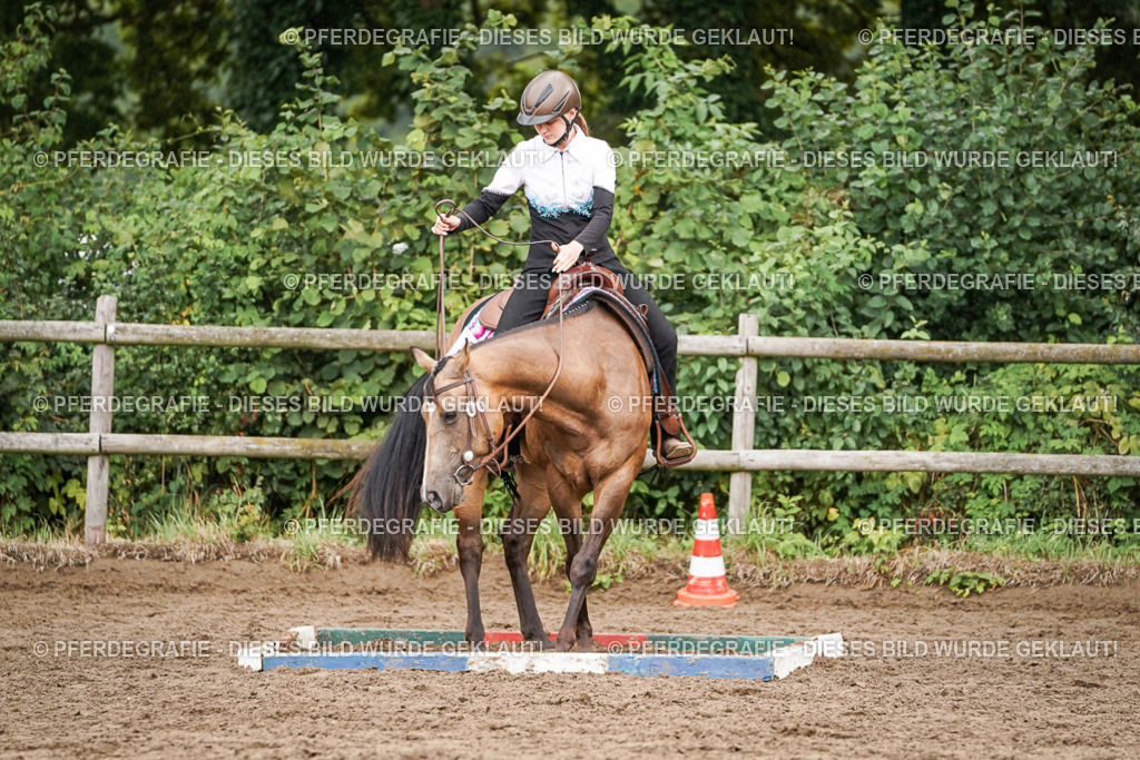 DSC04524 | Pferdegrafie