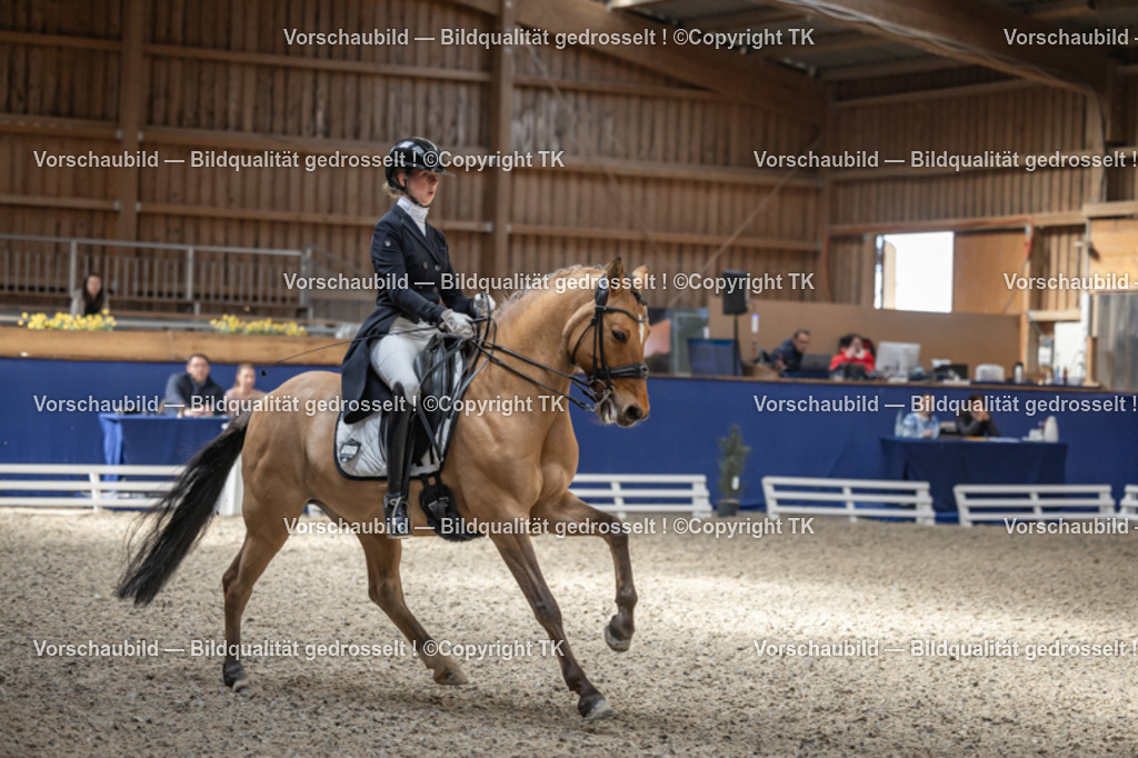 _D5A2358 | Emotionale Pferde- & People-Fotografie rund um Heidelberg, Leimen & Umgebung. Natürliche Fotos von Pferd, Mensch & Familie. Jetzt Termin sichern!