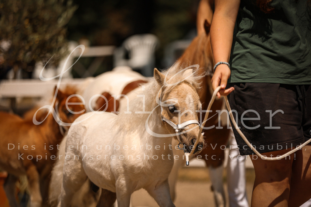 01.DoKR00145 | Leoni Ertmer Photography - Realisiert mit Pictrs.com