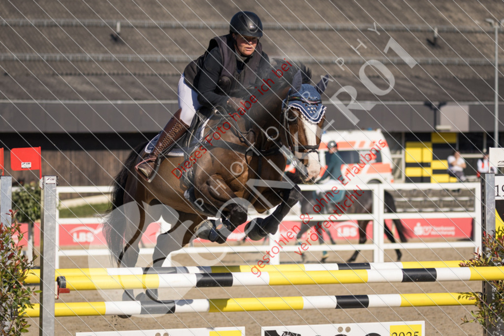 IMG_2886 | Sport-, Event- und Tierfotos in Profiqualität. Einfach auswählen, bestellen und herunterladen. Dein Moment – perfekt festgehalten.