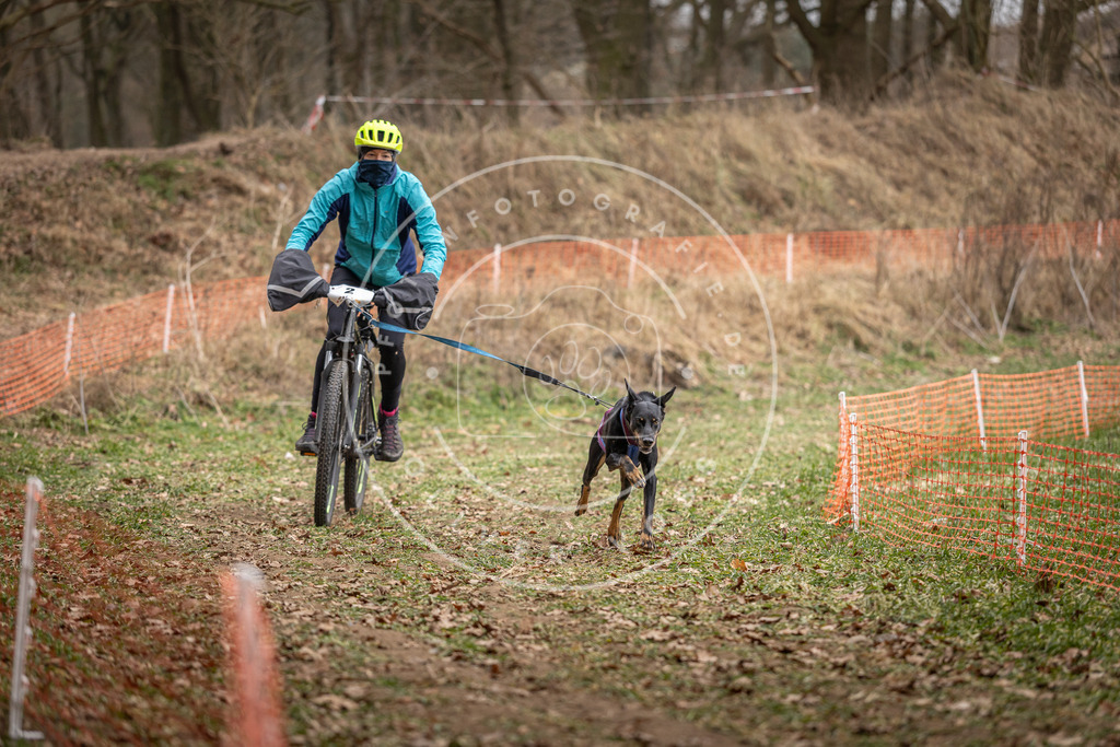 Pfotenfotografie_DV3A6998 | Hundefotografie, Tierfotograf, Pfotenfotografie, Fotoshooting Hund, Hunde Portrait, Hundesport, Hundeportraits, Heideshooting, Hunde, Sportfotograf, Hundefotograf, Turnierhundsport, THS,  - Realisiert mit Pictrs.com