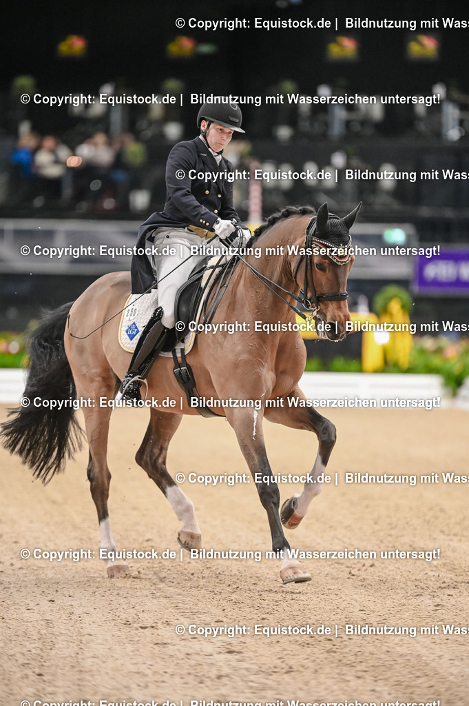 20251112_Dressur_iWest_TOMSPIC_00720072 | Foto: Thomas Hartig