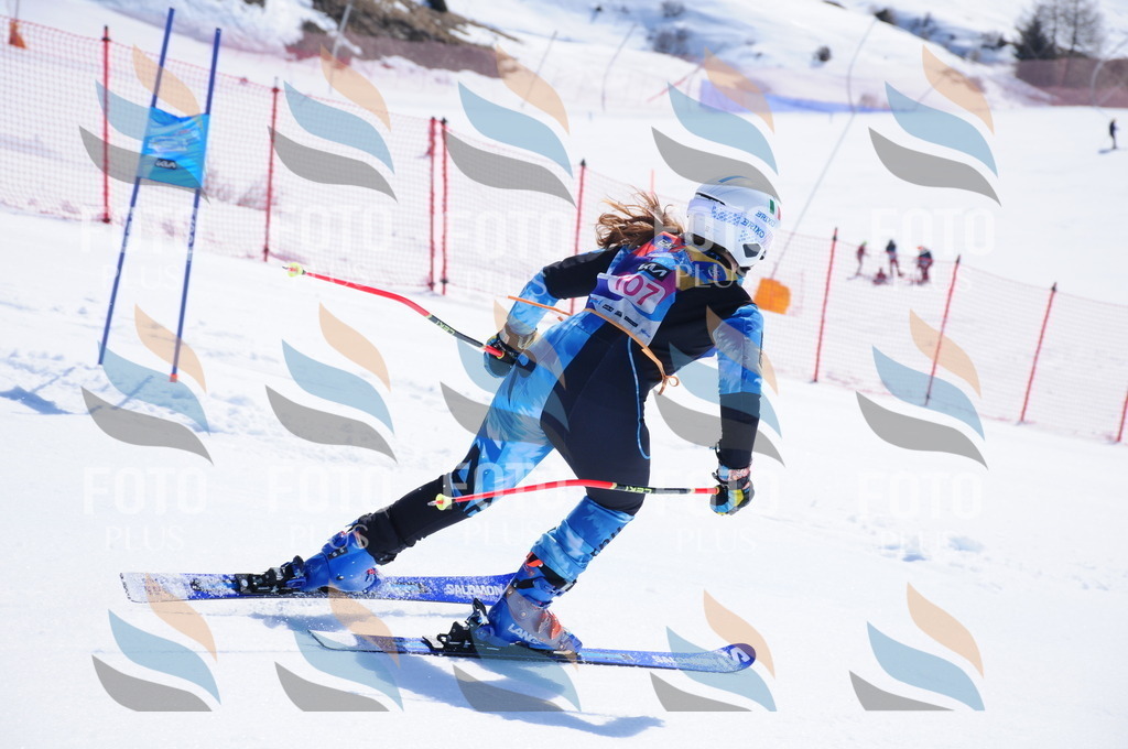 DSC_4830 | holidayphoto