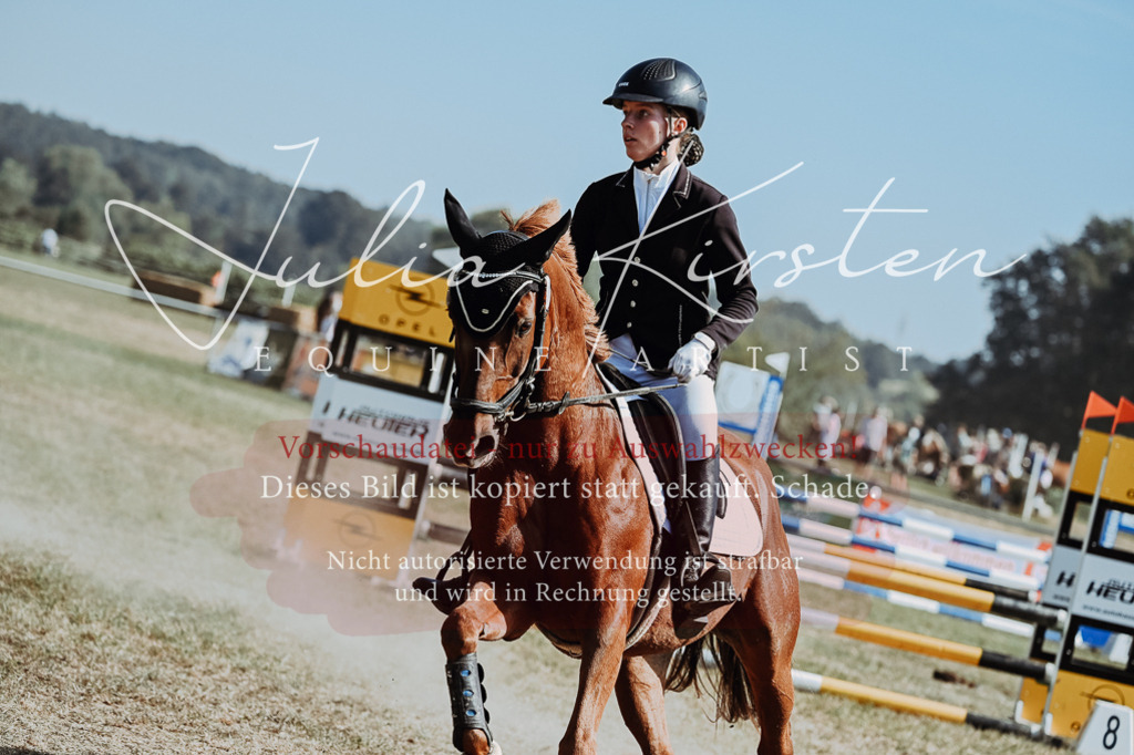 DSC_9370 | Pferde- und Turnierfotografie in Westsachsen. Pferdeportraits, Auftragszeichnungen und intuitive Kunst.