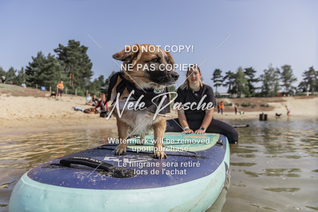 BUHU_SUP_322 | nelerasche