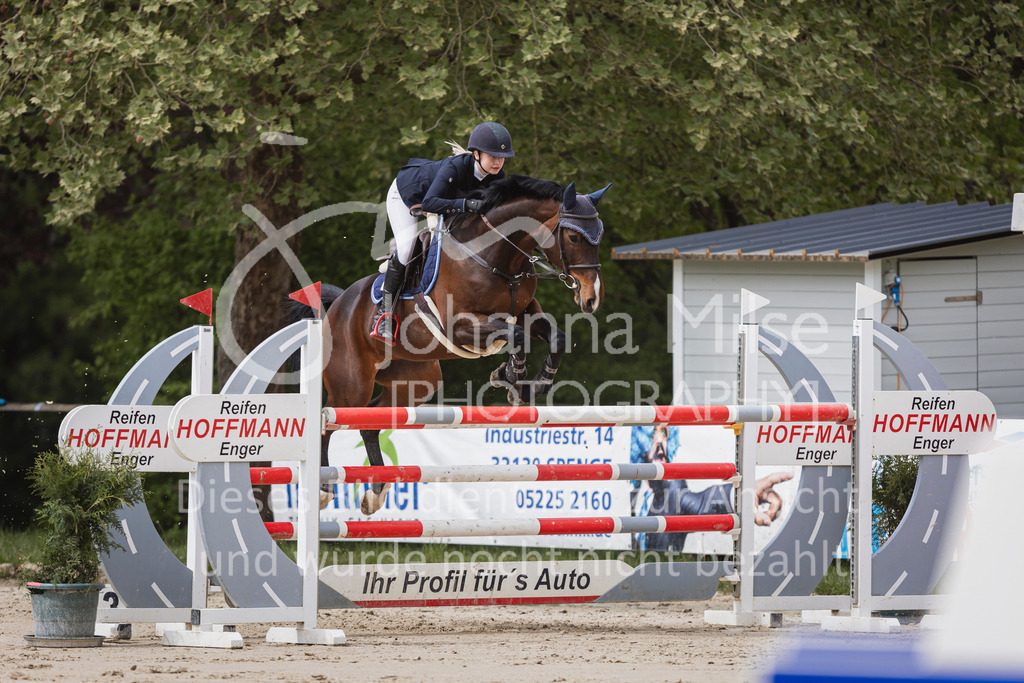 250504_SpengeW_M2-Spr-460 | Deine schönsten Turniermomente als professionelle Fotos! Entdecke hochwertige Pferdesport-Fotografie im Online-Shop. Jetzt Fotos finden & bestellen!