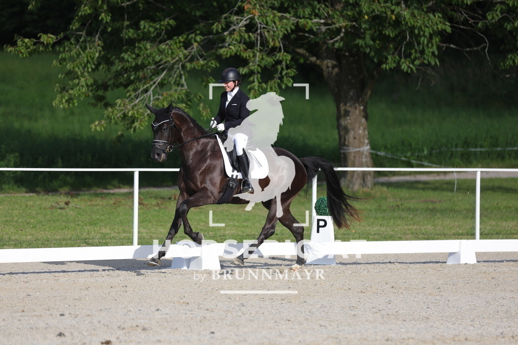 0P6A4272 | Willkommen bei Brunnmayr - Design & Fotografie – Ihrem Spezialisten für Reitturniere und Pferdeveranstaltungen in Oberösterreich, Salzburg und Bayern! Seit über 17 Jahren sind wir leidenschaftlich dabei.