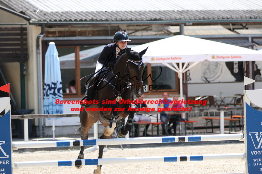 IMG_0049 | lmwpictures - Realisiert mit Pictrs.com